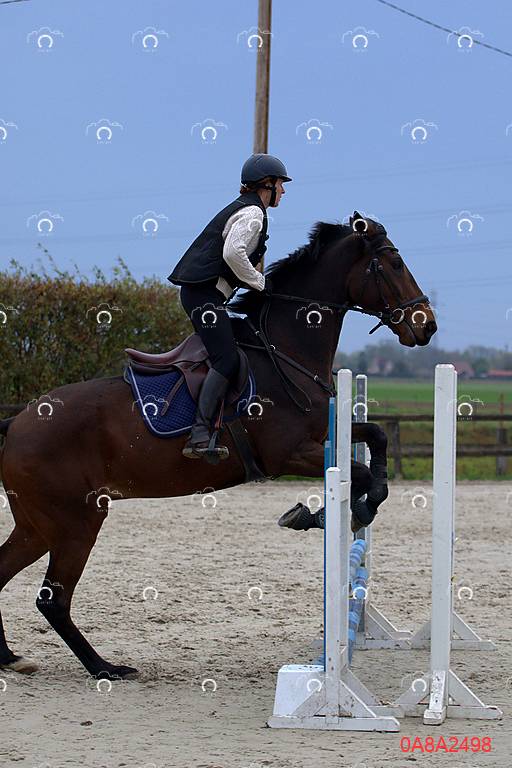 2026-01-11/0A8A2498