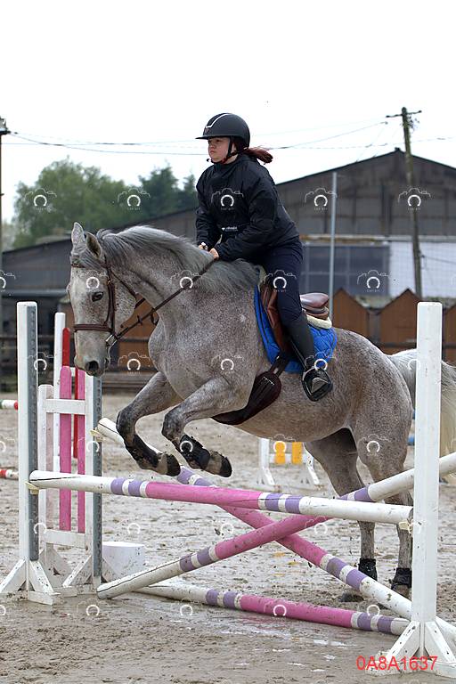 2026-02-11/0A8A1637