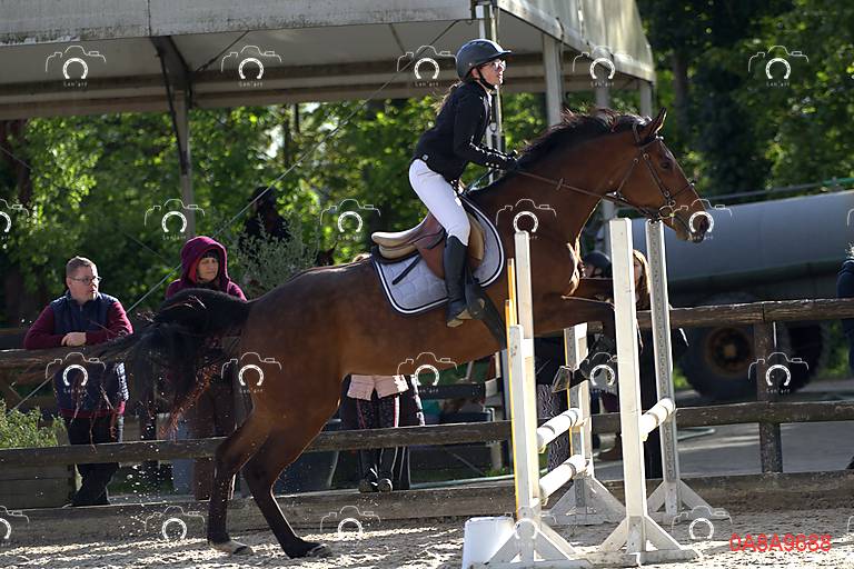 2026-03-12/0A8A9688