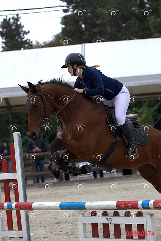 2026-01-11/0A8A0474
