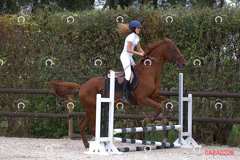 2026-01-11/0A8A0226